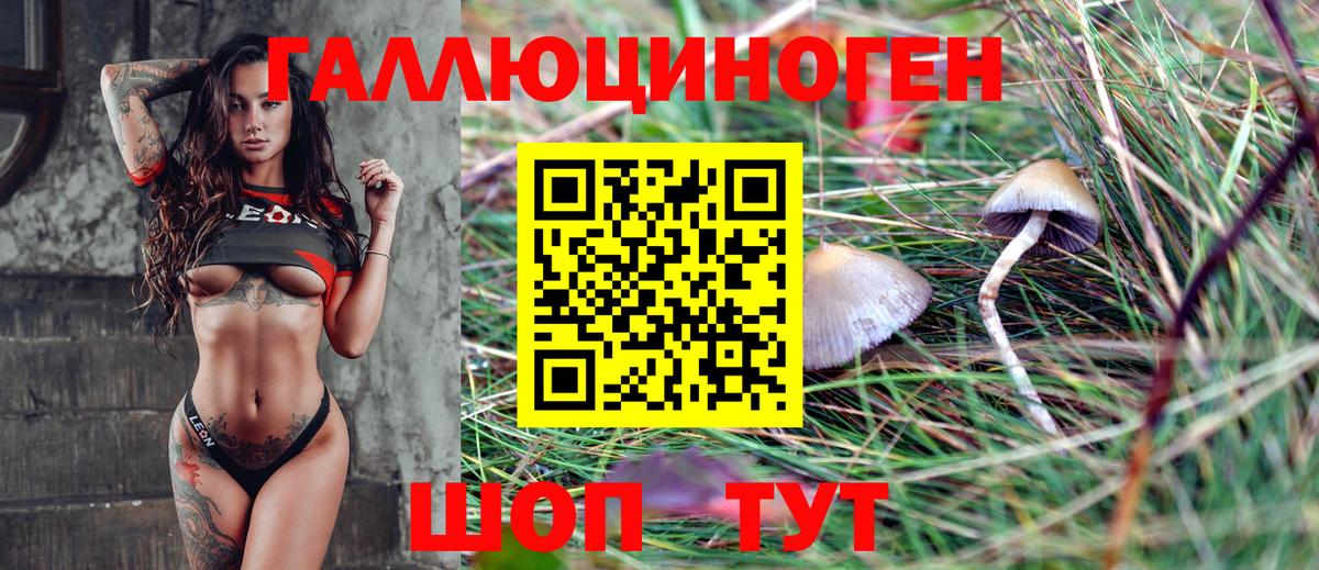 Псилоцибиновые грибы Psilocybe  Псилоцибиновые грибы ЛСД  Ангарск  Вход с VPN 